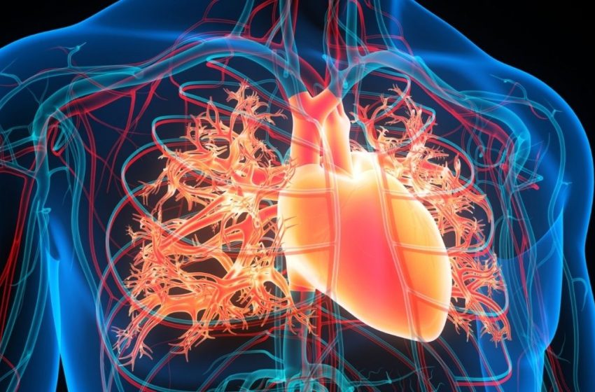  Magnetic Fluid Injected Into The Heart May Prevent Strokes, Scientists Think : ScienceAlert