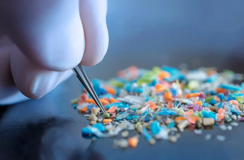  Scientists shocked to find lab gloves may be skewing microplastics data