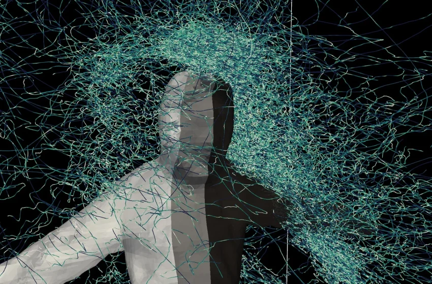  Why mosquitoes always find you and how they decide to attack