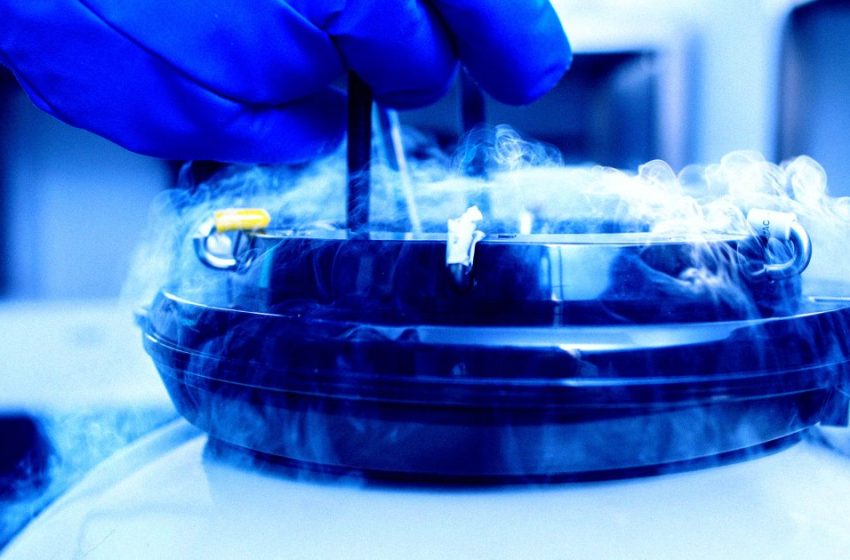  Scientists Bring Mouse Brains Back to Life After “Cryosleep” Deep Freeze