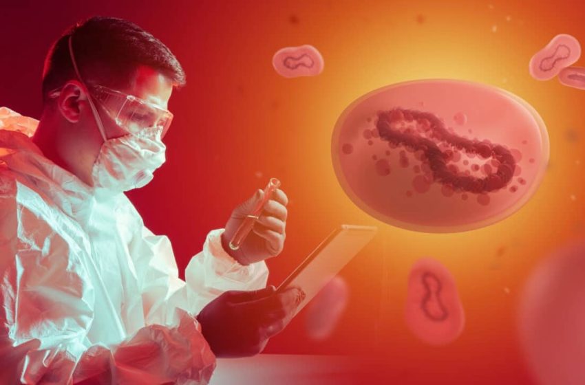  Experts Warn Travelers After a Fast-Spreading Virus Is Found Circulating in Two European Countries