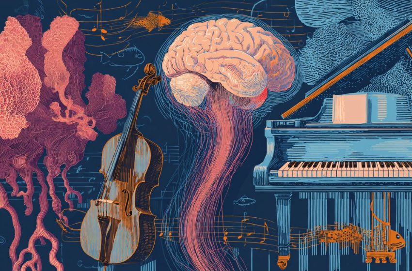  Humans Are Born With a Biological Blueprint for Music