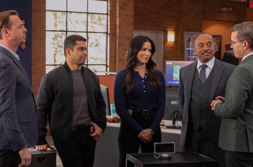  ‘NCIS’ Boss Explains Vance’s Shocking Death in Episode 500