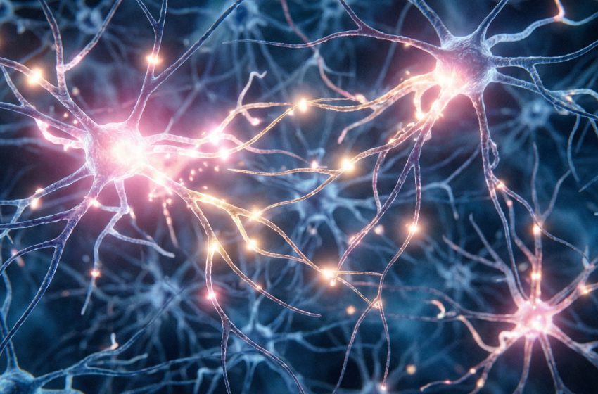  Scientists discover psychedelic drug 5-MeO-DMT induces a state of “paradoxical wake”