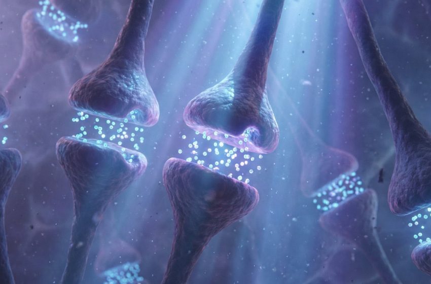  Neuroscientists just upended our understanding of Pavlovian learning