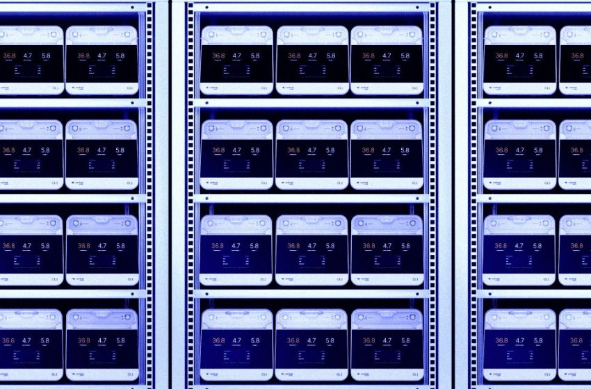  New Data Centers Will Be Powered by Human Brain Cells