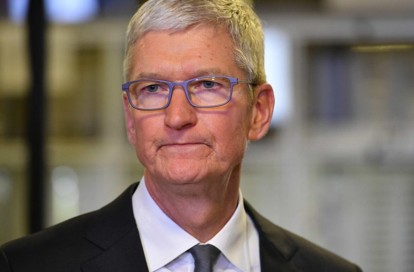  Apple Removes iPhone Vibe Coding App from App Store