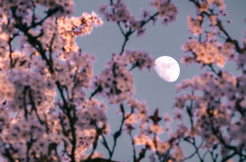  The stargazing gear you need for April 2026