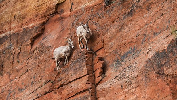  Nine tips to help you cope during turbulent times