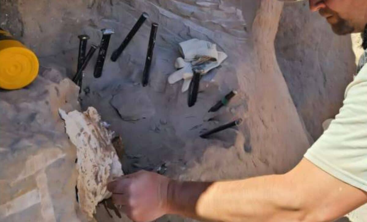Peter Makovicky Excavates Fossil Remains At The La Buitrera Fossil Site.. ©peter Makovicky