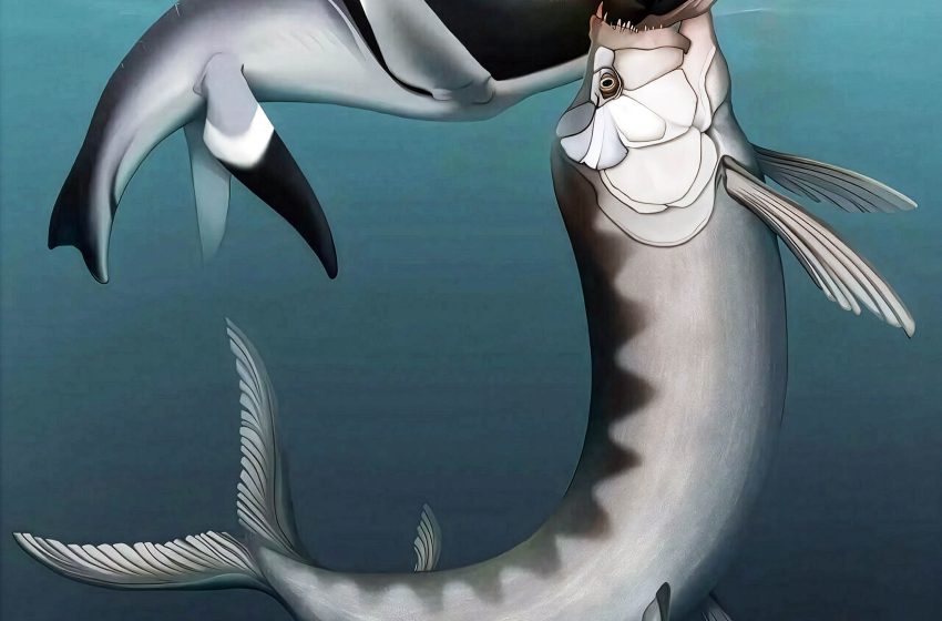  Ancient plesiosaur was taken out by an even bigger predatory fish