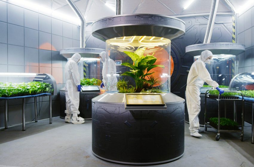  Recycled wastewater could help astronauts grow food on the Moon