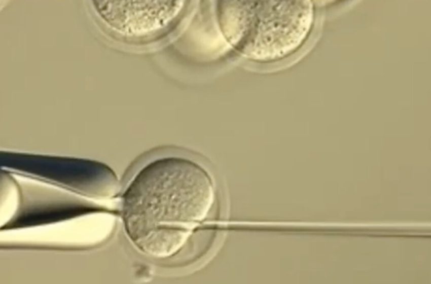  Scientists Tried to Clone Clones Forever. It Didn’t End Well