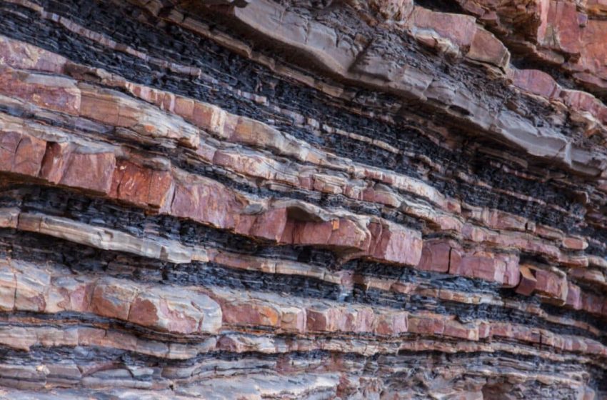  Scientists Brought a 3-Billion-Year-Old Enzyme Back to Life, and It Still Works!