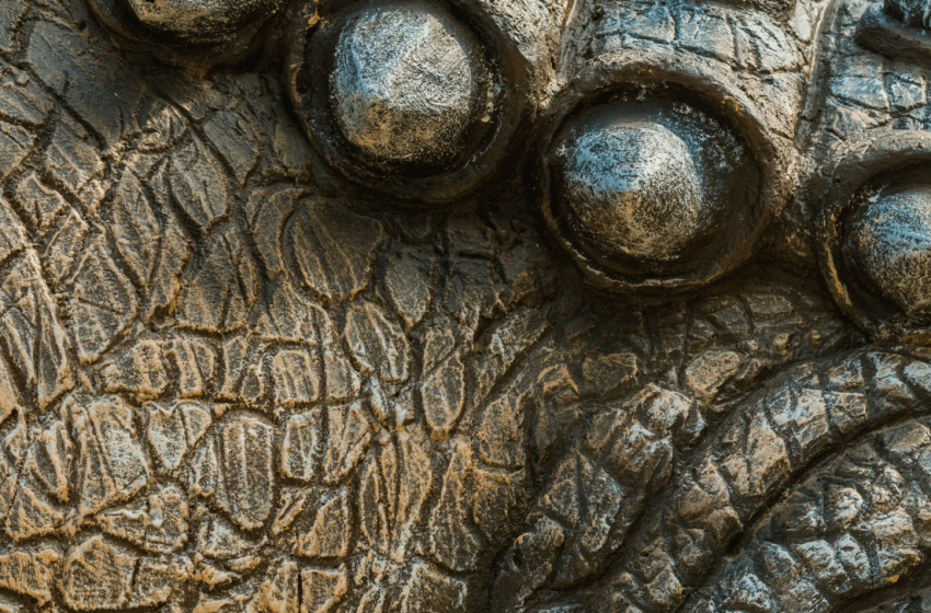  Scientists Find World’s Oldest Fossilized Reptile Skin in Oklahoma Cave