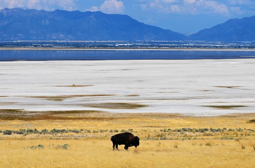  Scientists Detect Something Bizarre in Subterranean Structures Under the Great Salt Lake