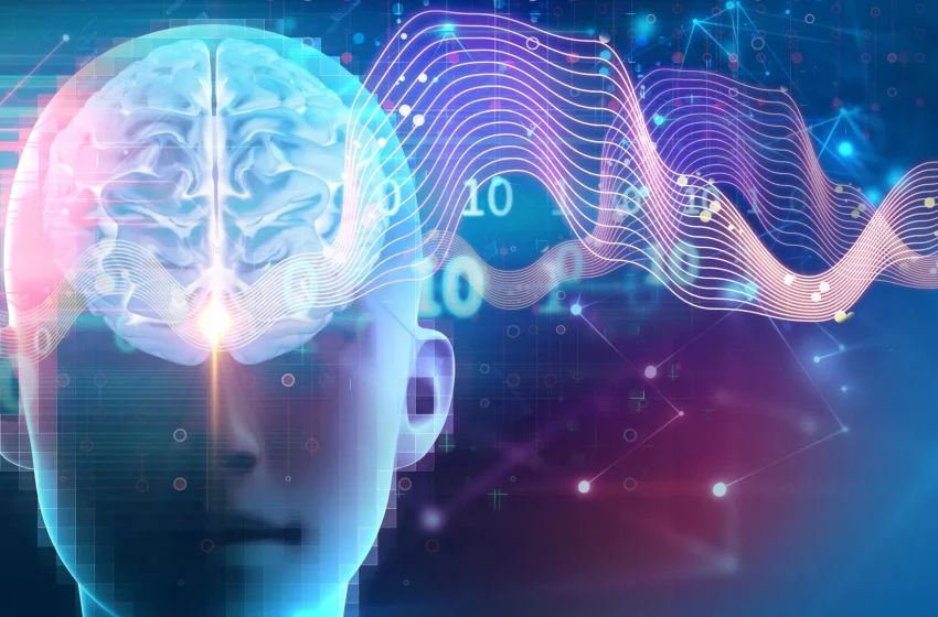  Scientists discover sleep switch that builds muscle, burns fat, and boosts brainpower