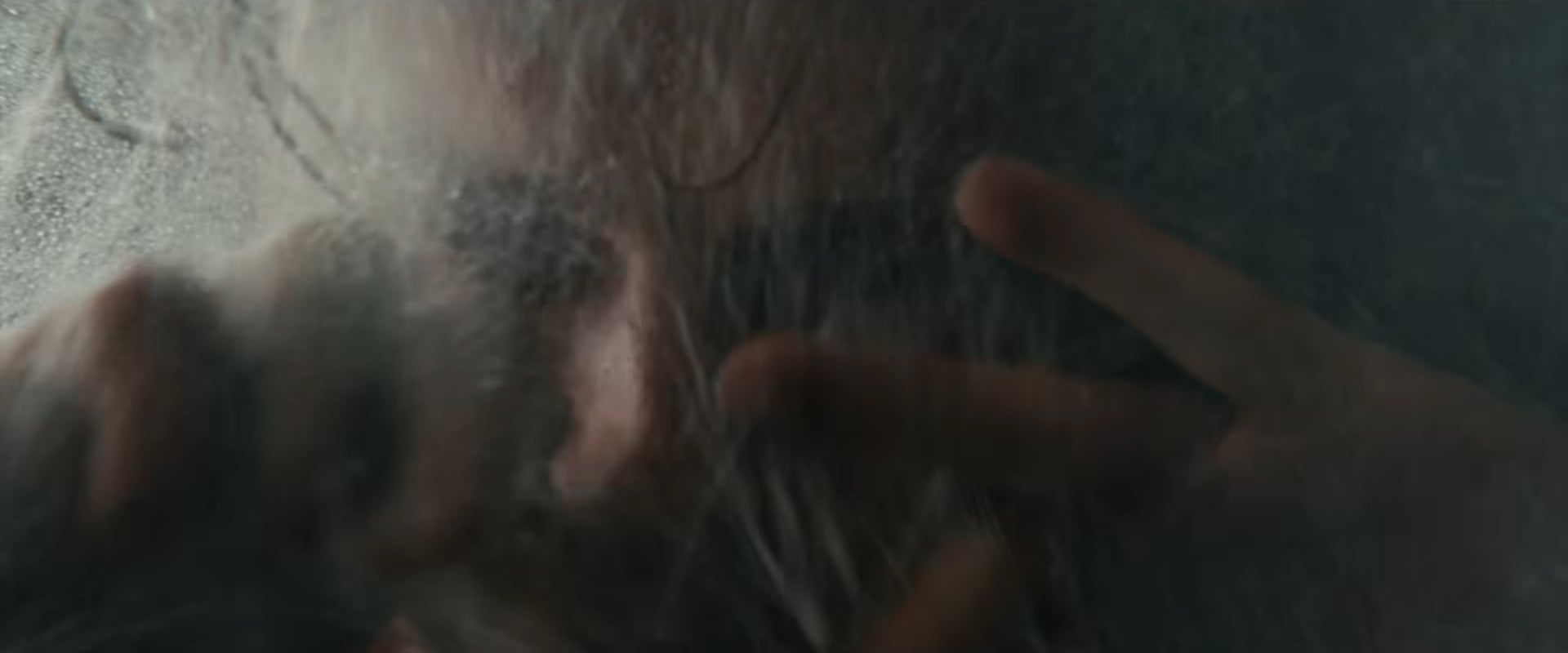 Spider Man Brand New Day Trailer Breakdown Peter Coccoon