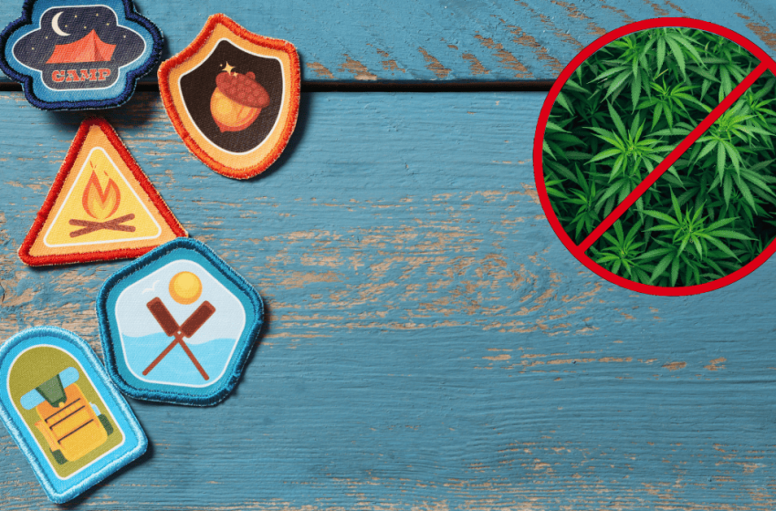  New Jersey Girl Scout Troop Chastised For Brilliant Sales Hack