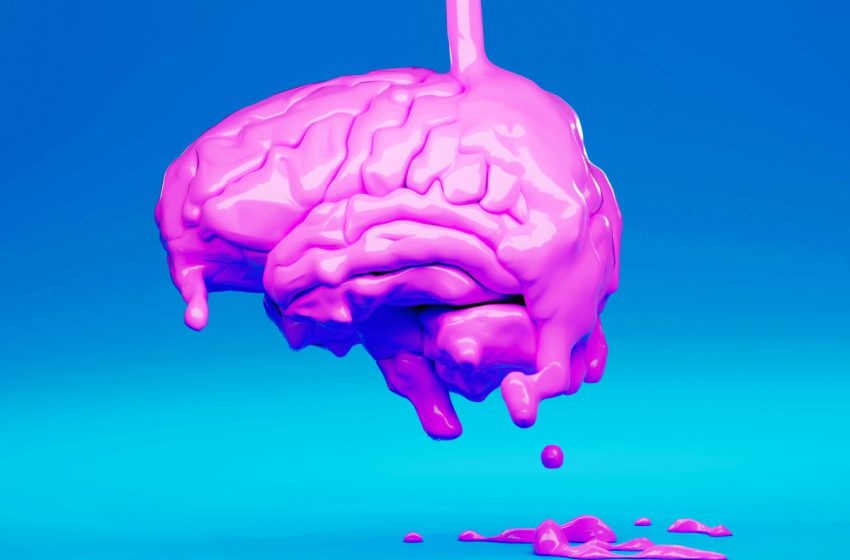  Staff at New Data Center Powered by Human Brain Cells Need to Swap Out Cerebrospinal Fluid Every Day