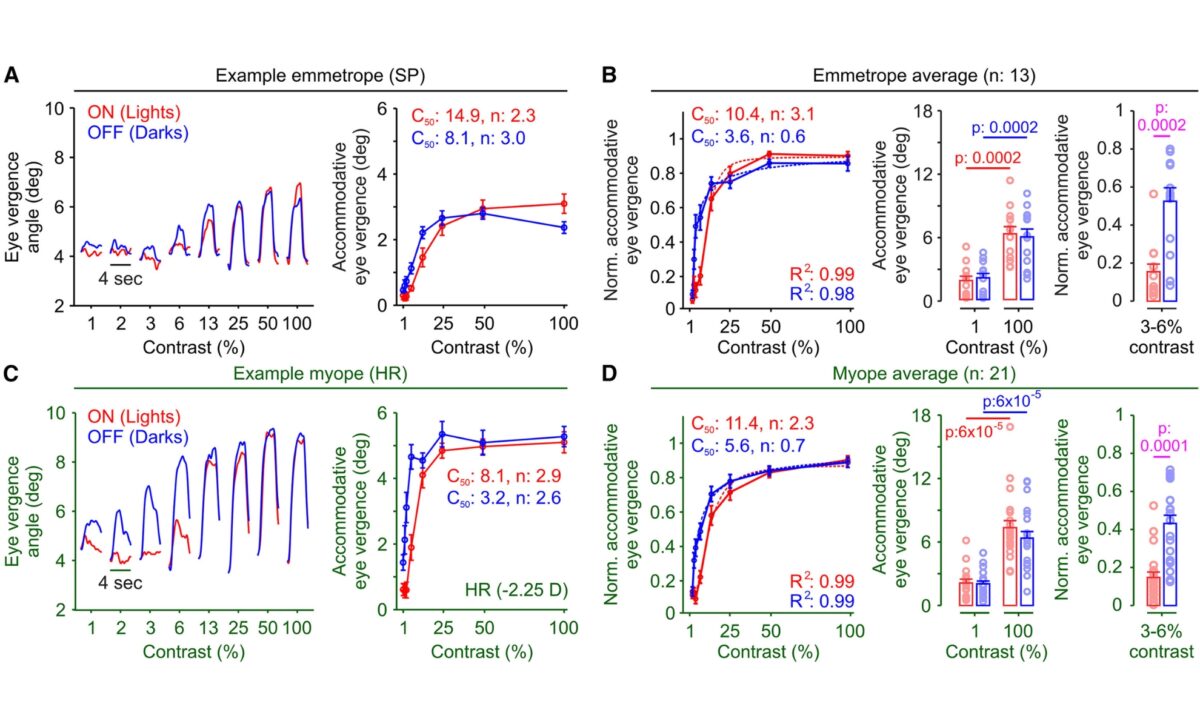 Stimulus Contrast Increases Accommodative Eye Vergence