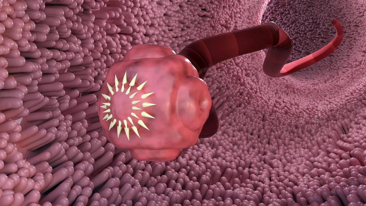 3D Rendering of isolated tapeworm