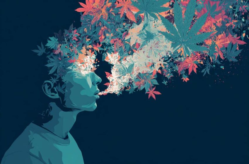  Teenage Cannabis Use Linked to 52% Higher Schizophrenia Risk