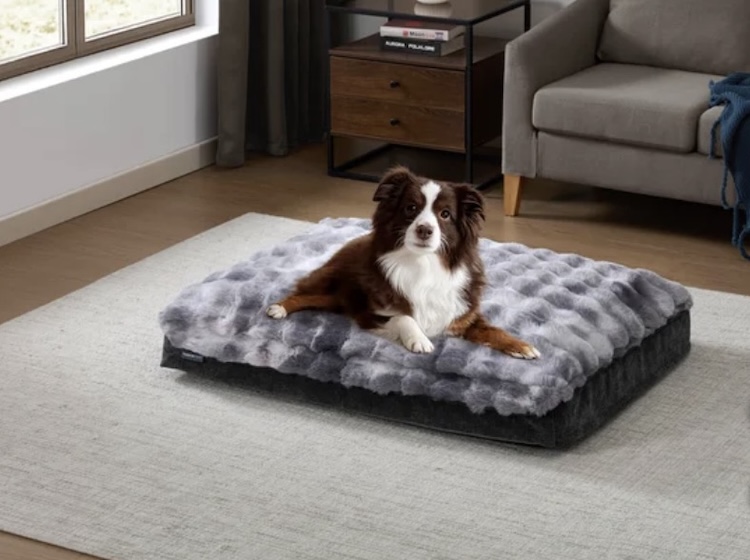 Tempur-Pedic Combination Pet Mattress