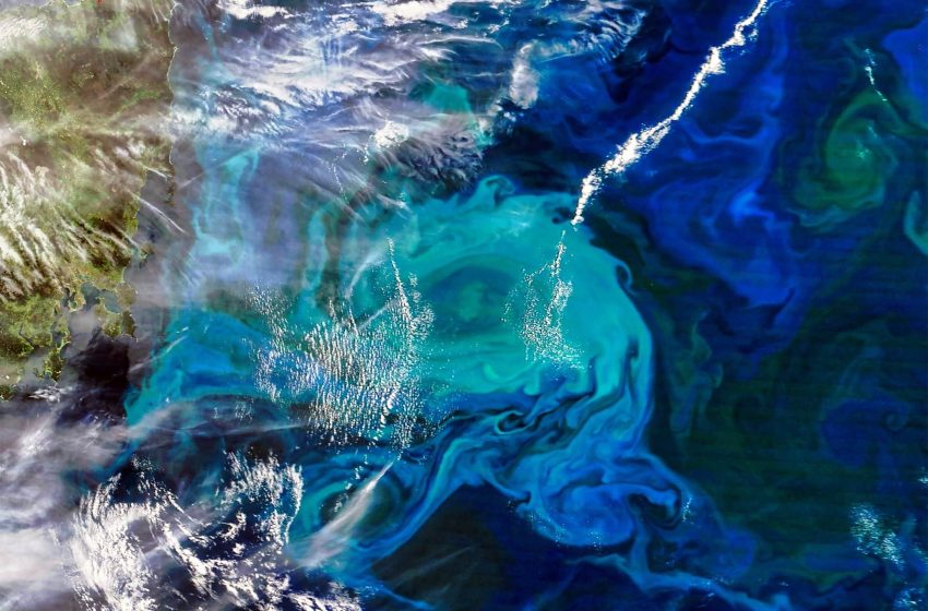  Underwater Antarctic earthquakes fuel explosions of surface life