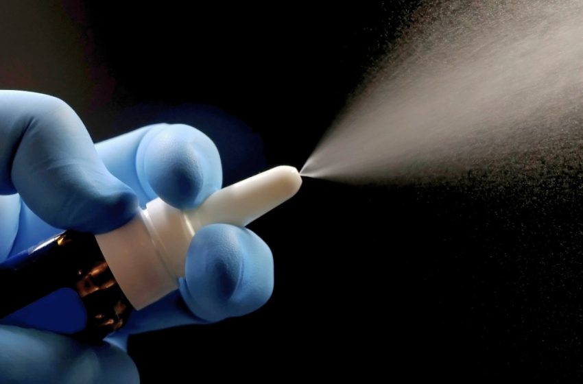  Universal Vaccine Blocks Viruses, Bacteria, And Allergies With a Nasal Spray : ScienceAlert