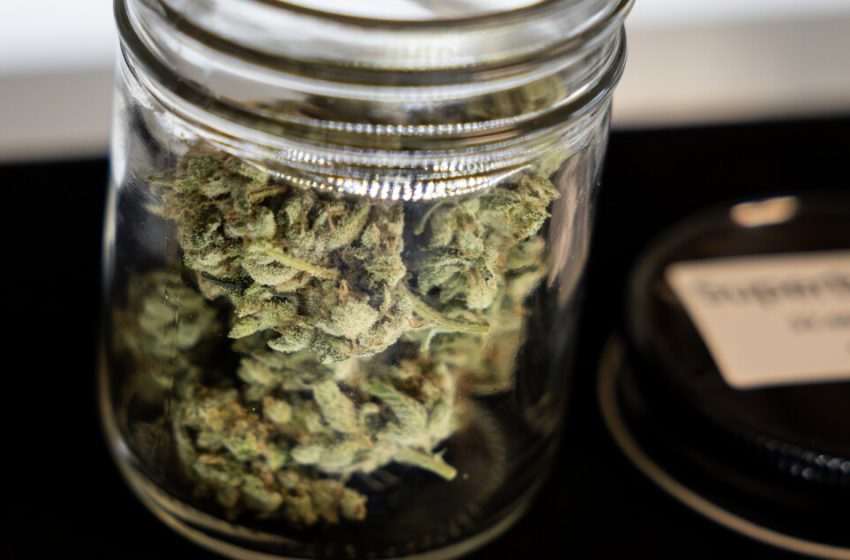  Texas ban on selling smokable cannabis takes effect March 31