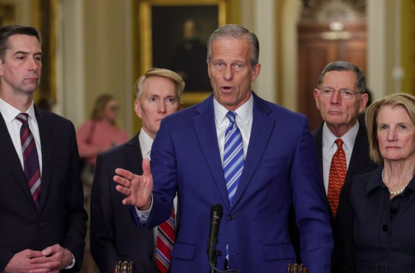  Senate votes to fund much of DHS, minus immigration eno : NPR