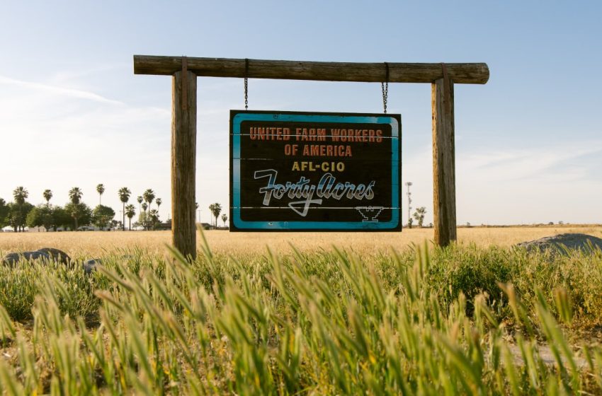  In a town close to the farmworker movement, some struggle to process Chavez allegations : NPR