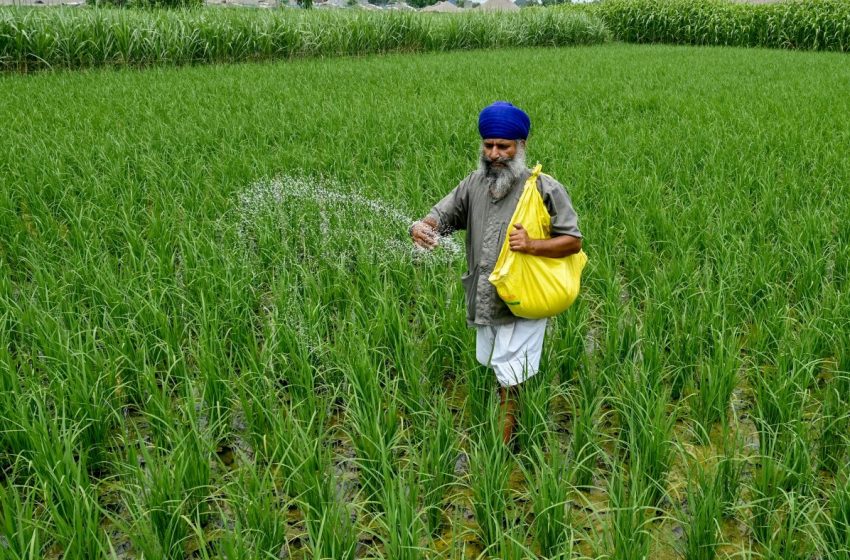  How the Iran war threatens global food supply : NPR