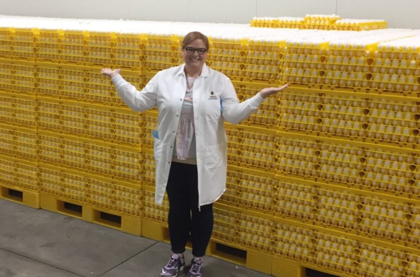  Why your egg prices are so much lower than last year : NPR