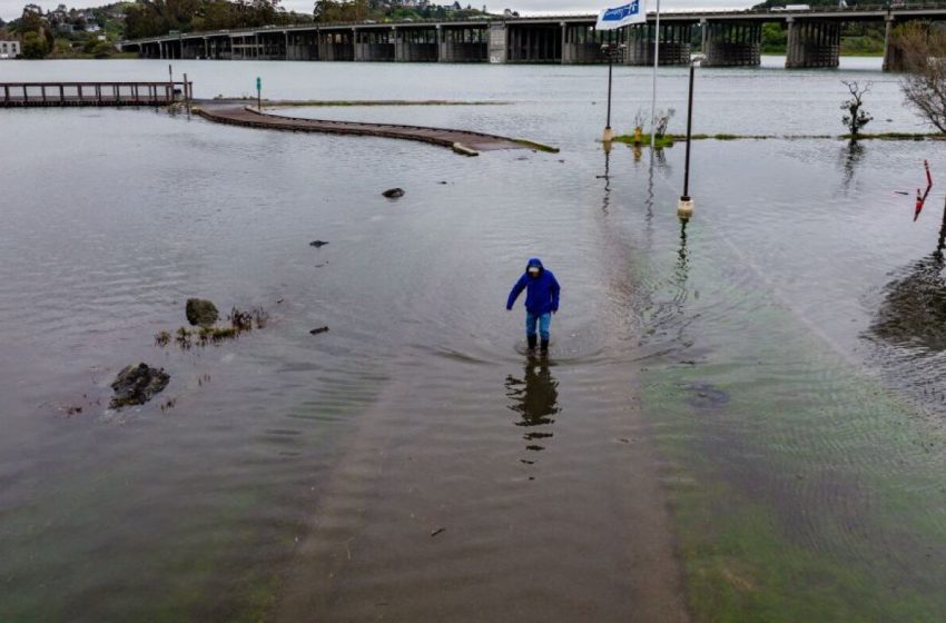  Millions more people are in the path of rising seas than previously thought : NPR