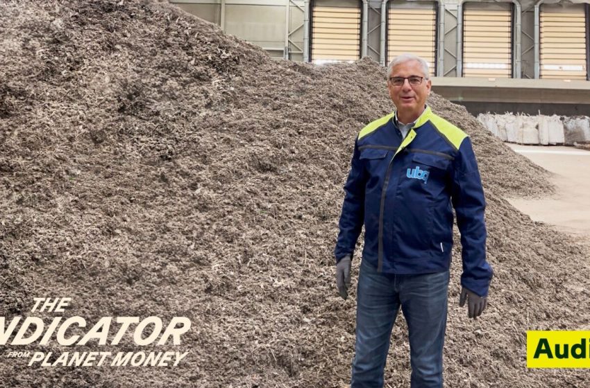  The Indicator from Planet Money : NPR