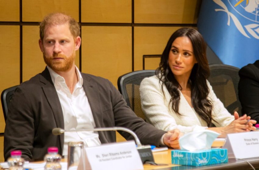  Prince Harry and Meghan accuse author of ‘deranged conspiracy’