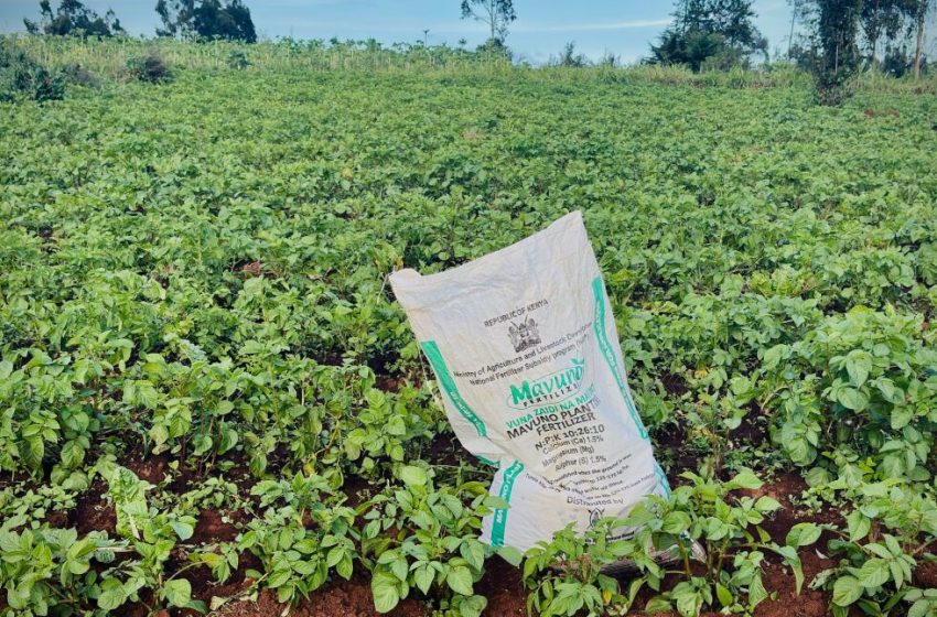  Fertilizer crisis hits farmers as Iran war disrupts supply