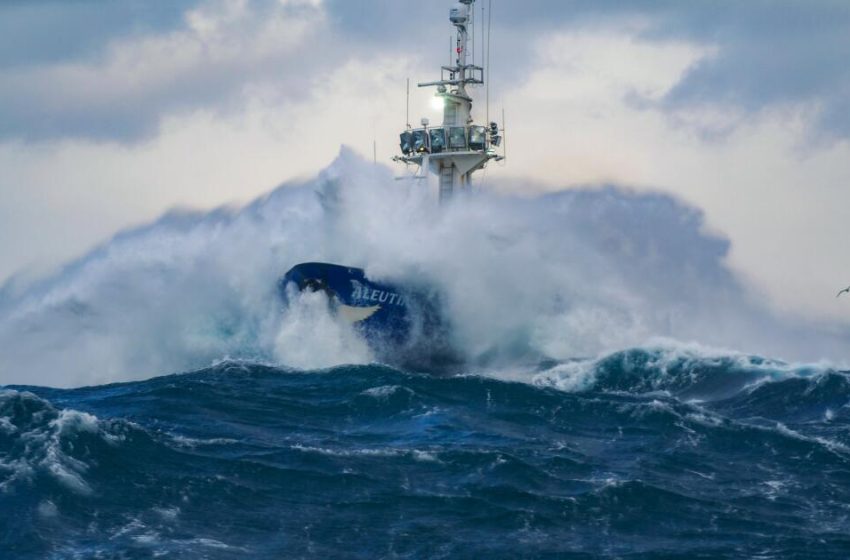  Todd Meadows dead: ‘Deadliest Catch’ cast member was 25