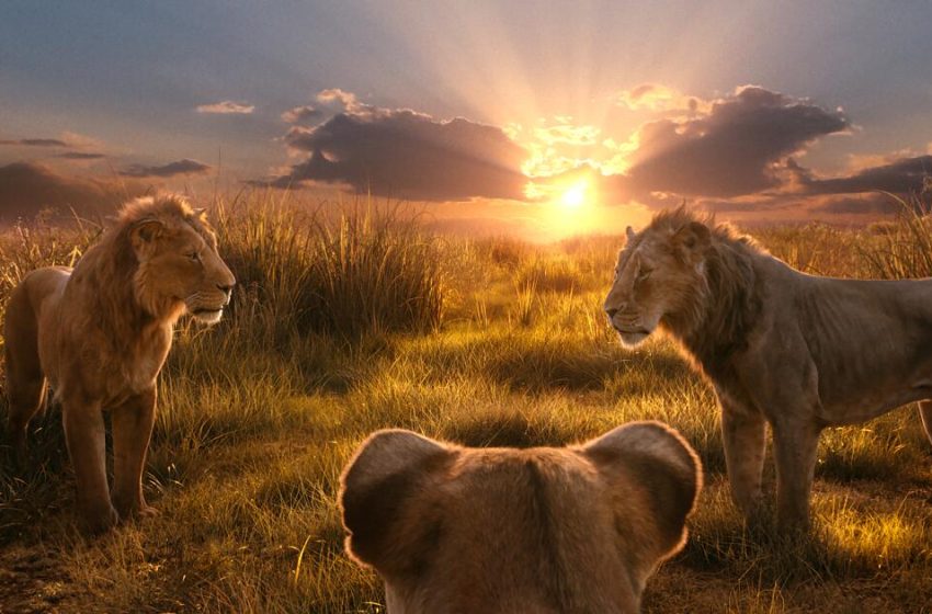  ‘Lion King’ composer sues comedian for botched translation