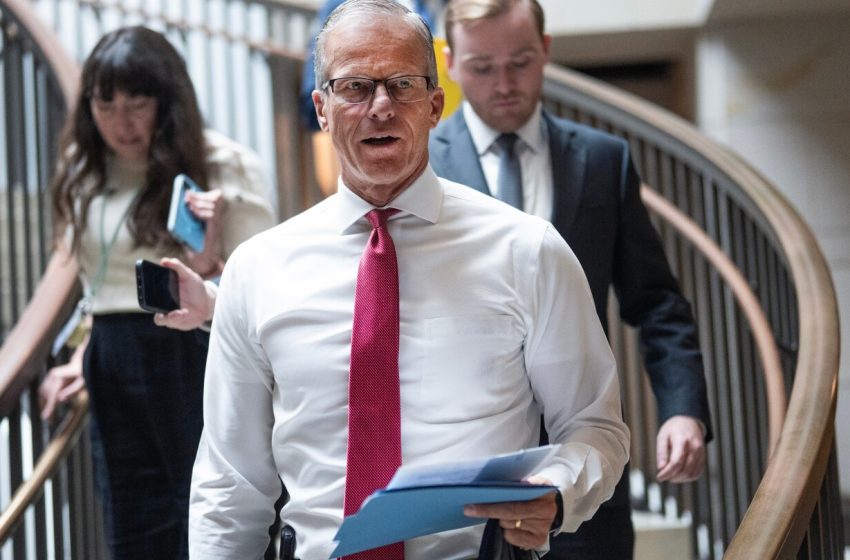  House Republicans Turn on John Thune