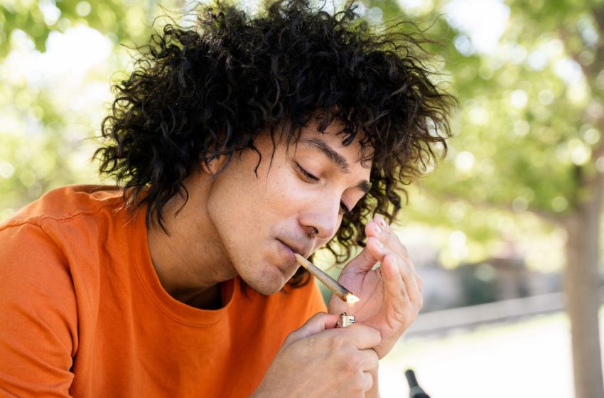  Why does cannabis give people ‘the munchies’?