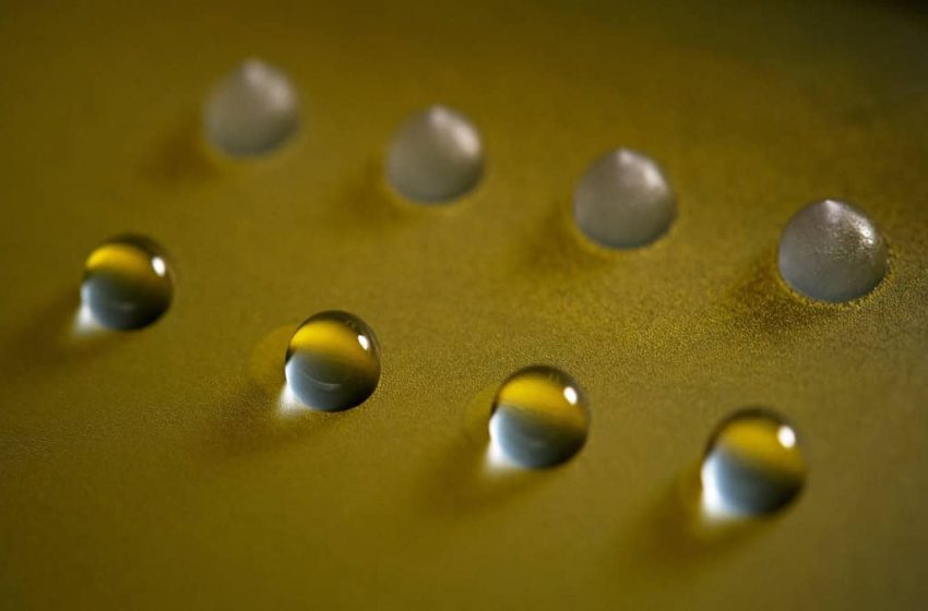  Scientists Find Soil Fungus That Can Freeze Water and It Might Be Key to Engineering the Weather