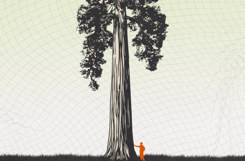  It was never about AI (we are not our tools)