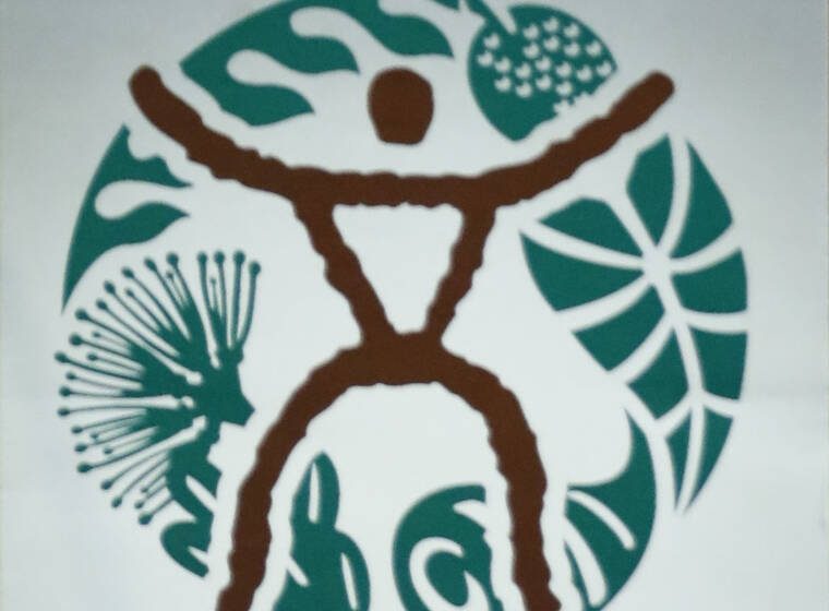  Health officials confirm measles case in visitor to Hawaii