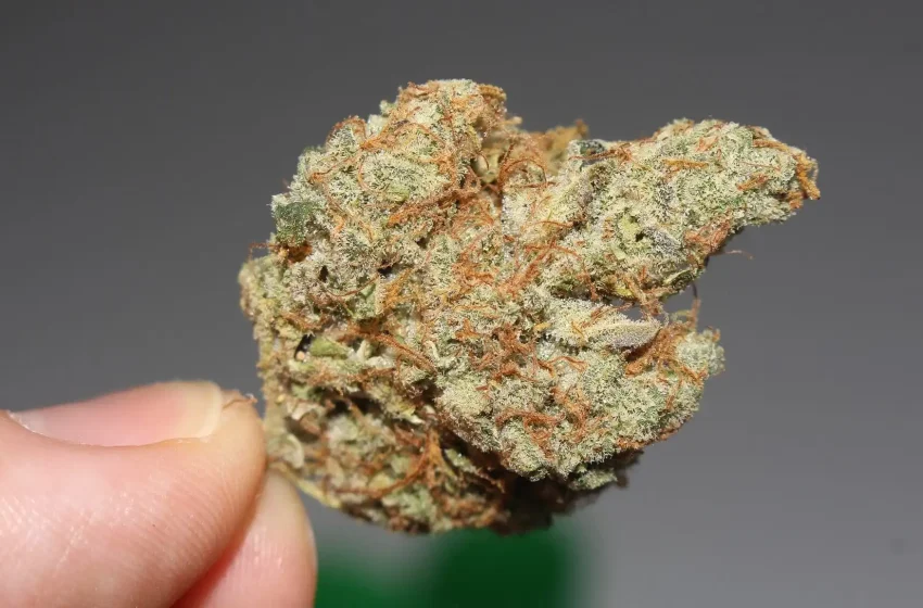  What Do New Ohio Restrictions On Marijuana And Hemp Mean For Consumers And Businesses?