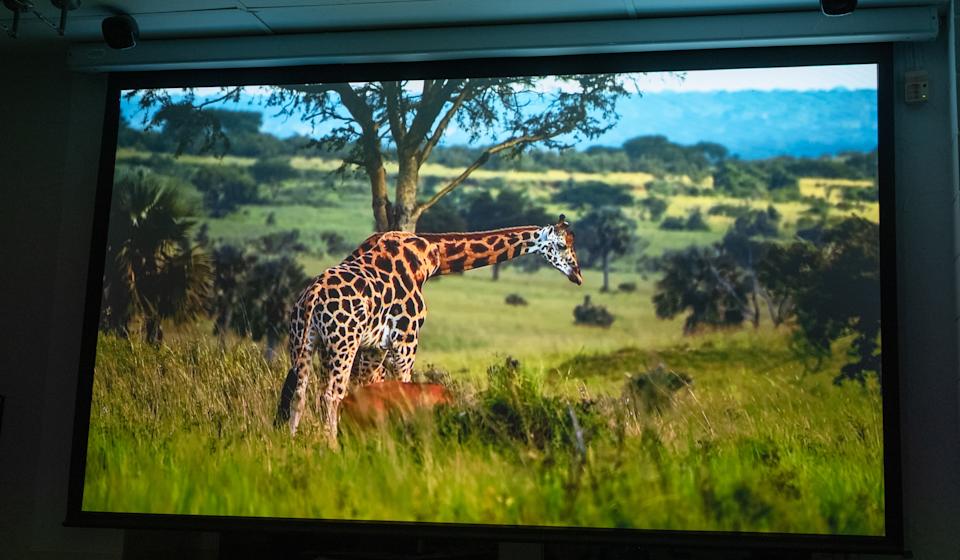 Soundcore Nebula X1 Pro review: The king of party projectors 