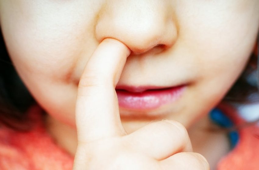  Nose-Picking May Have a Surprise Link With Alzheimer’s, Study in Mice Suggests