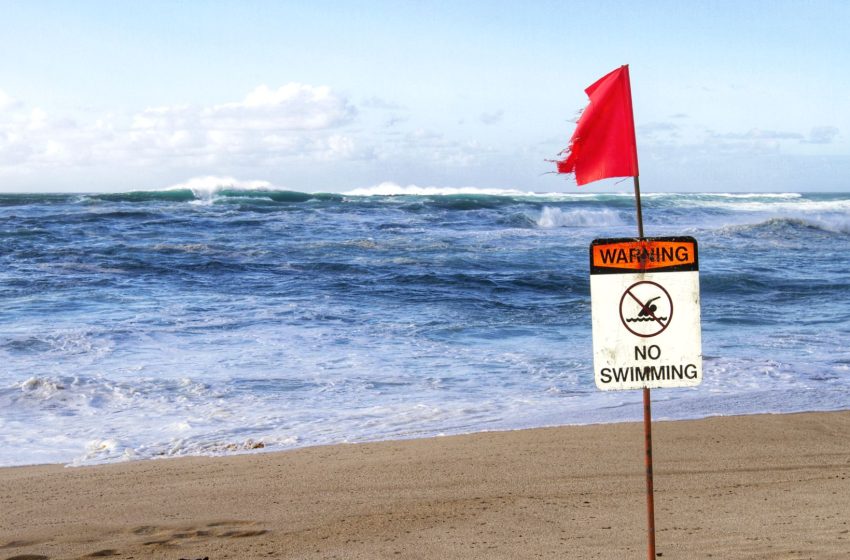  Hawaii Visitors Are Swimming In Contaminated Water Right Now